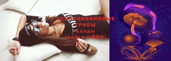 2c-b Каменка