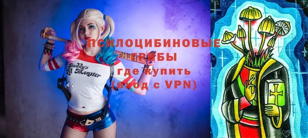 2c-b Каменка