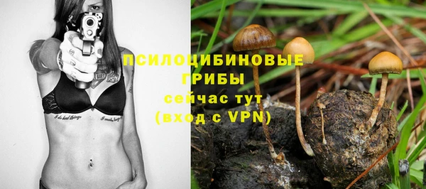 альфа пвп Каменск-Шахтинский