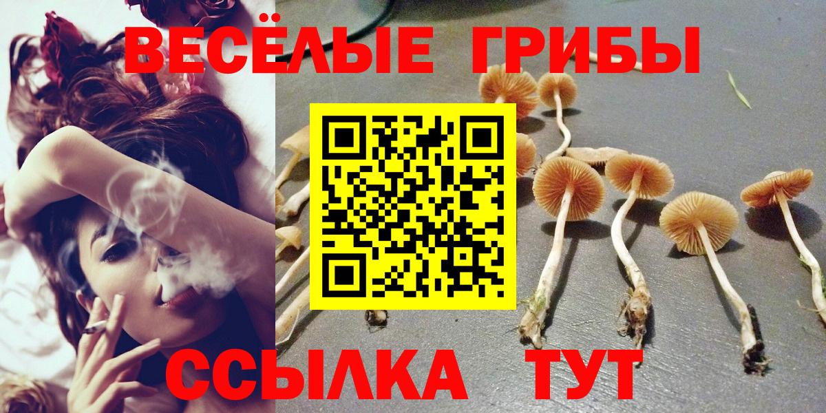 Галлюциногенные грибы GOLDEN TEACHER Корсаков