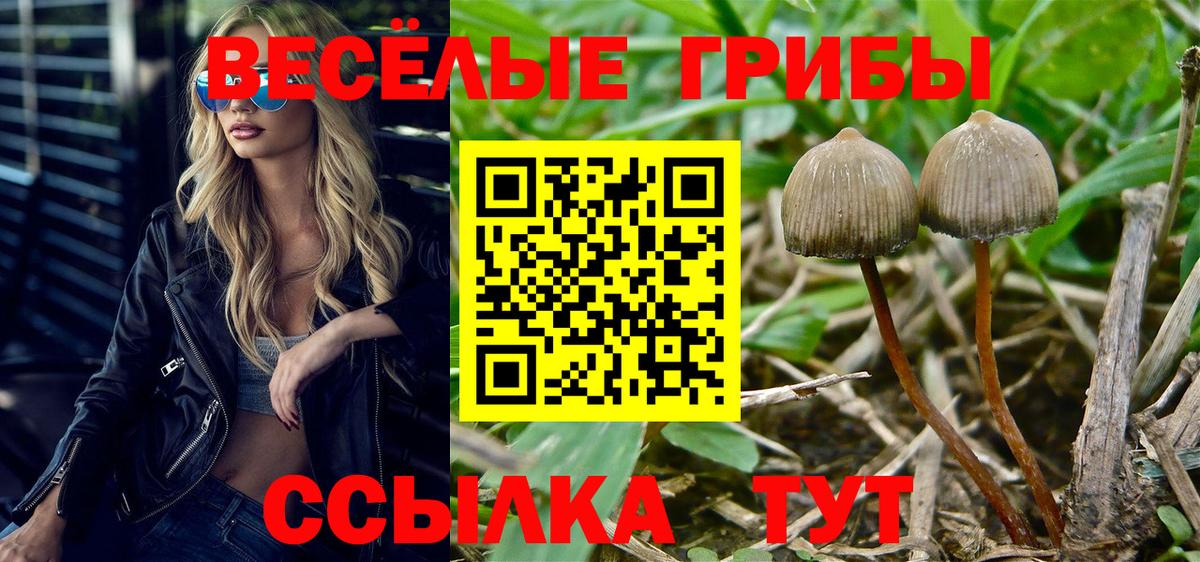 Экстази  COCAIN  Корсаков  ГАШ  Alpha PVP СОЛЬ   ГАШ  Вход с VPN  Меф   Каннабис 