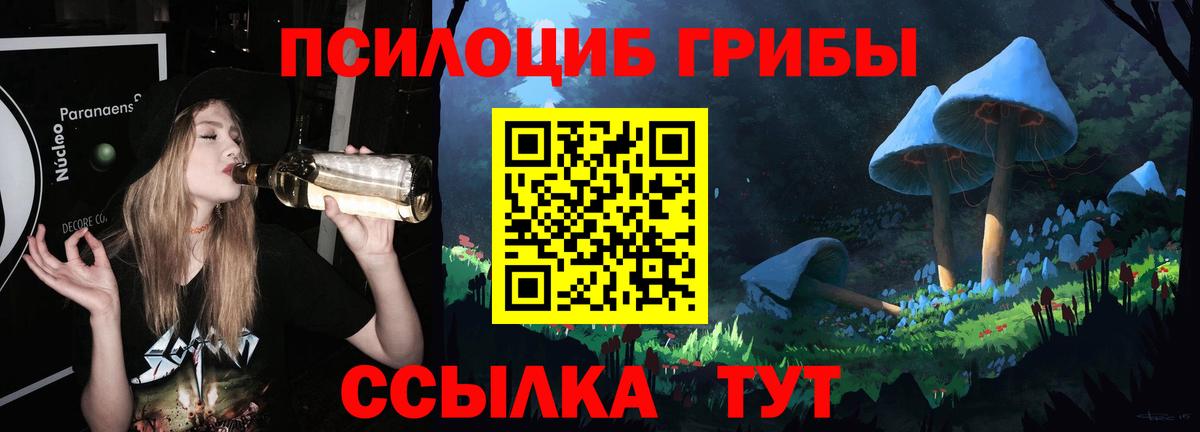Корсаков  Псилоцибиновые грибы Cubensis  Вход с VPN 