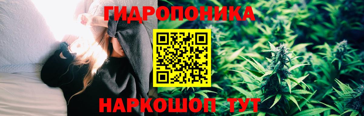 Бошки Шишки Bruce Banner  Бошки марихуана THC 21%  Корсаков  Вход с VPN  Конопля MAZAR  Бошки Шишки гибрид 